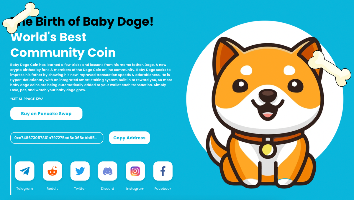 現在應該買寶貝狗 Baby Doge 嗎？